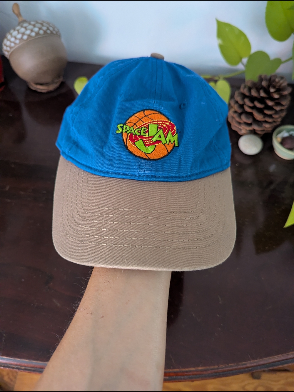 Space Jam Baseball Cap
